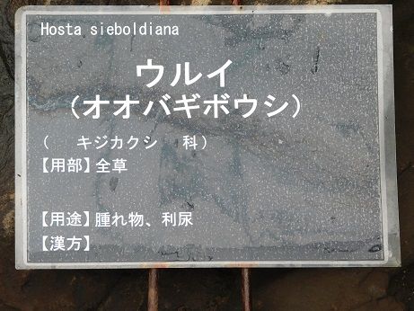 DSCN5755