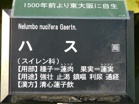 DSCN9791