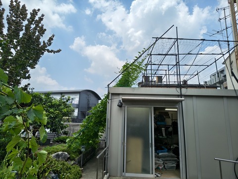 IMG_20260723_112821072_HDR