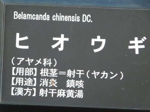 DSCN3313