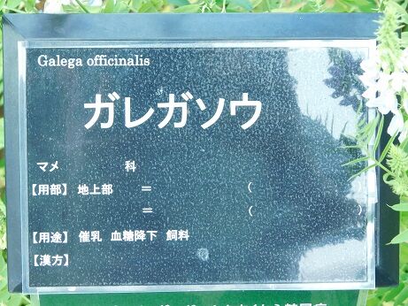 DSCN0083