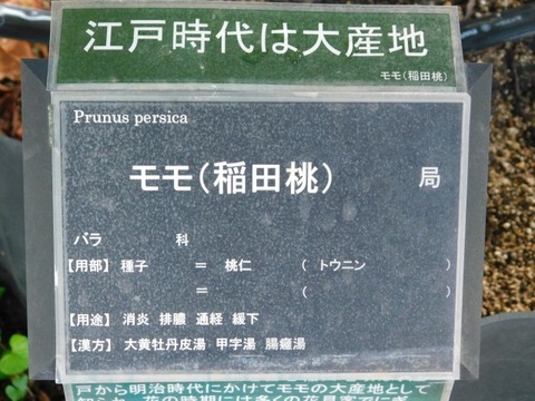 DSCN7285