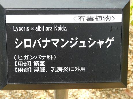 DSCN3817