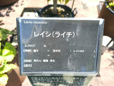 IMG_20260728_112529099_HDR