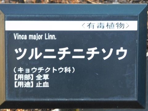 DSCN3436