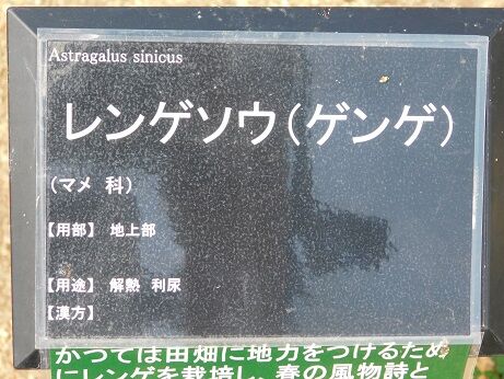 DSCN7141