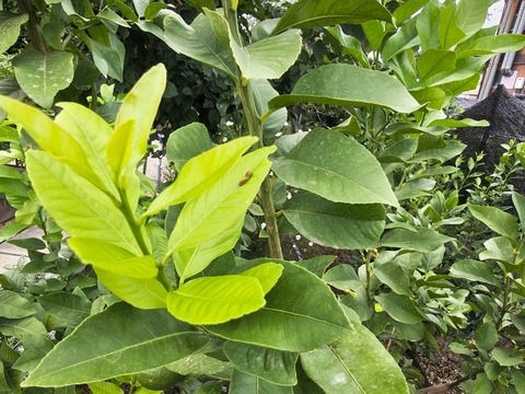 IMG_20260827_134116848_HDR