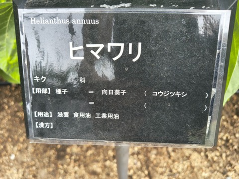 IMG_20260827_132520156_HDR