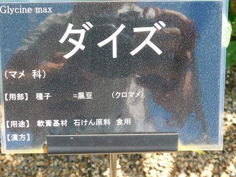 DSCN3420