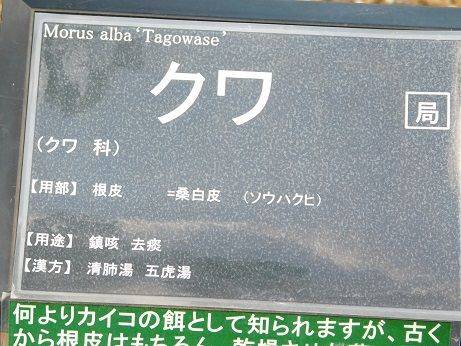 DSCN4908