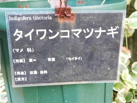 DSCN8691