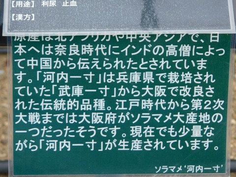 DSCN3612