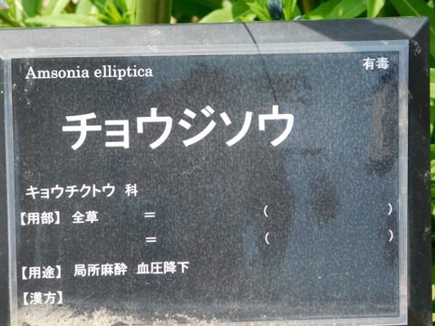 DSCN3900