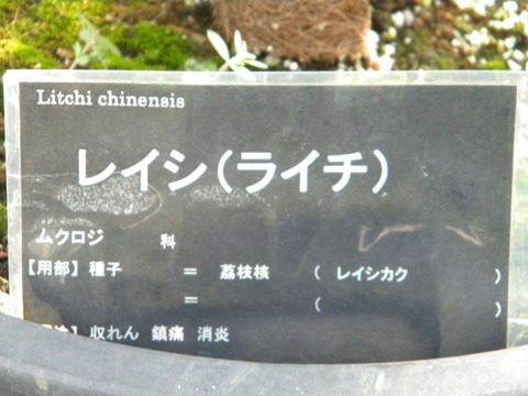 DSCN9650