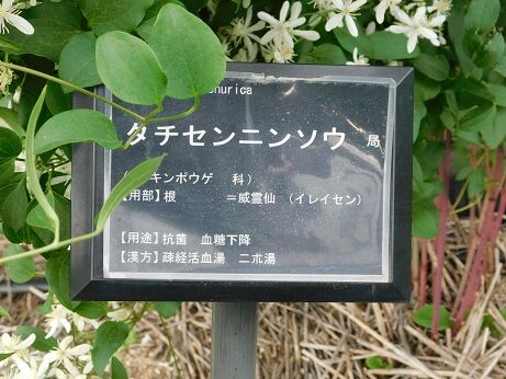 DSCN9451