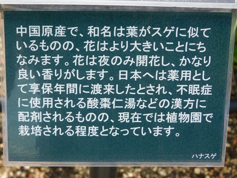 DSCN4187