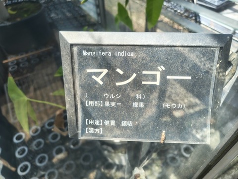IMG_20260728_111913870_HDR