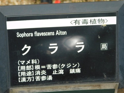 DSCN6842