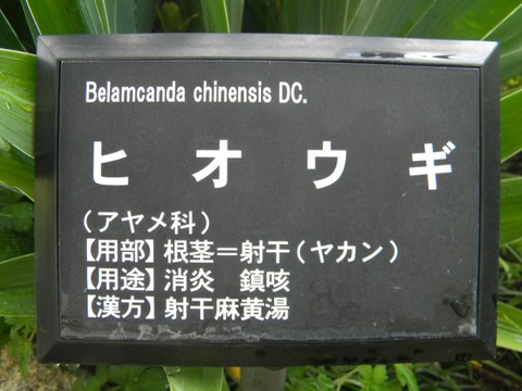 DSCN9648