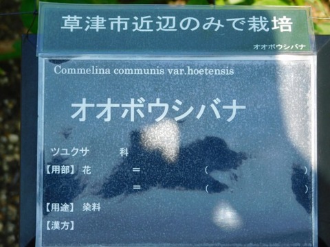 DSCN2149