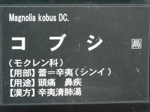 DSCN2852