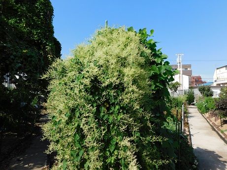 DSCN3894