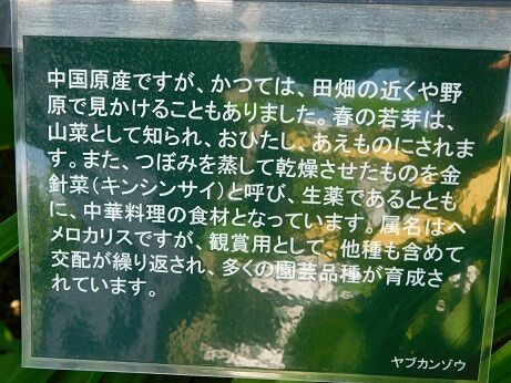 DSCN9829
