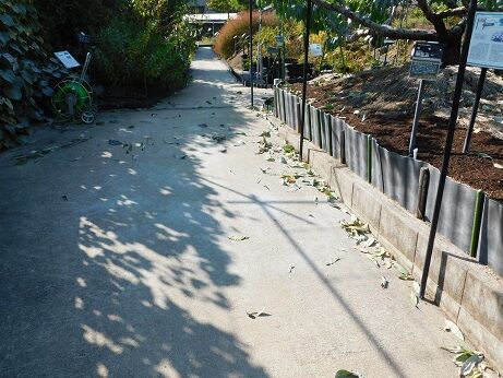 DSCN3089
