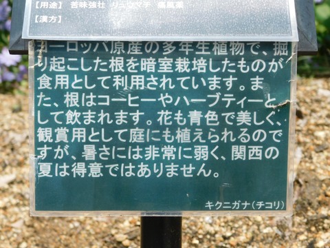 DSCN4471