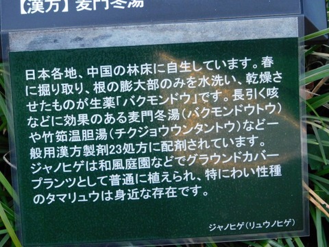 DSCN3419