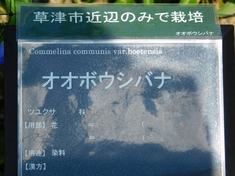 DSCN2193