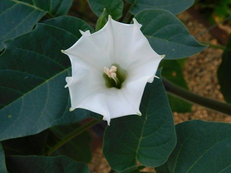 DSCN3306