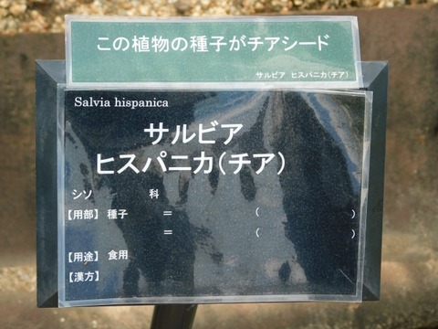 DSCN7318