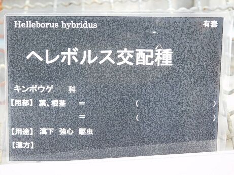 DSCN7165