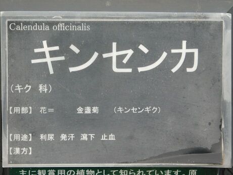 DSCN1479