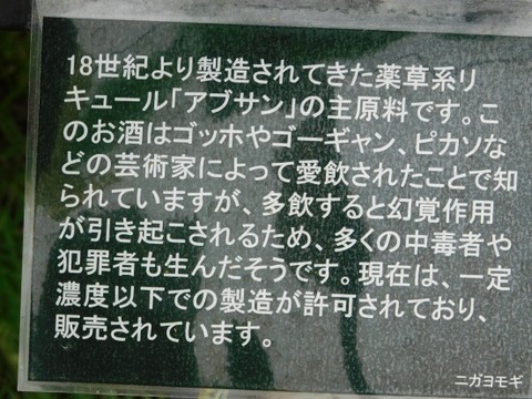 DSCN2088