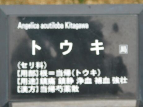 DSCN9606
