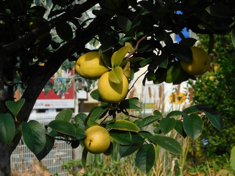 DSCN3069