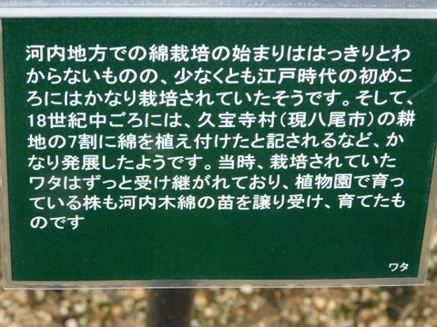 DSCN2310