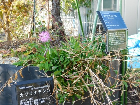 DSCN3309