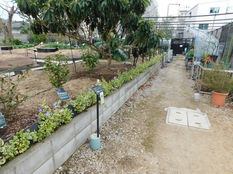 DSCN3654