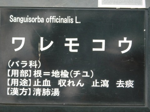 DSCN7369