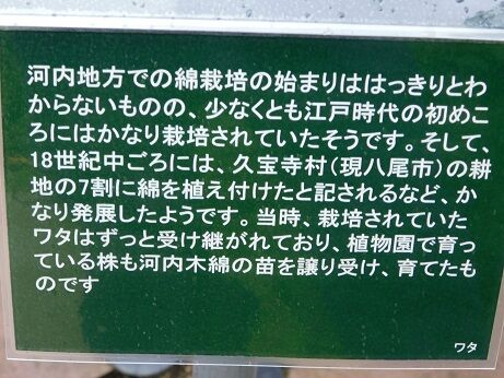 DSCN8338