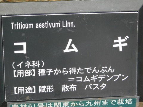 DSCN6195