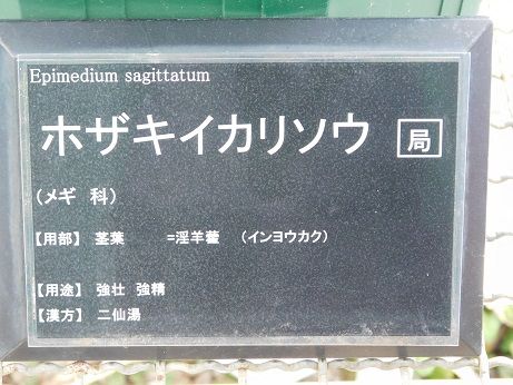 DSCN4534