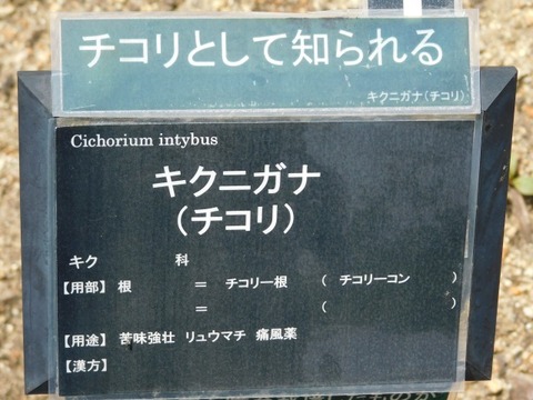 DSCN3904