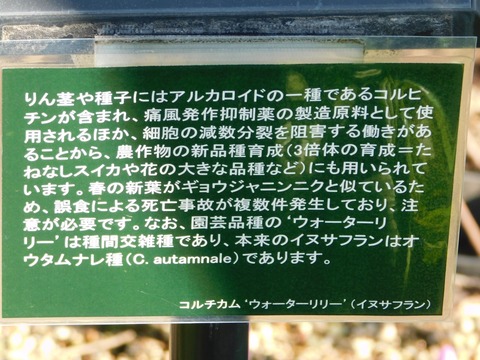 DSCN5467