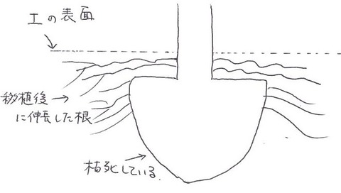 20180206182644-0001