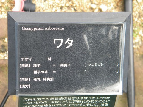 DSCN0008