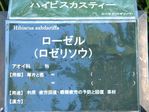 DSCN9976